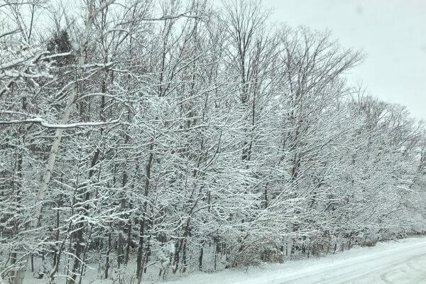 Snowstorm in Door County