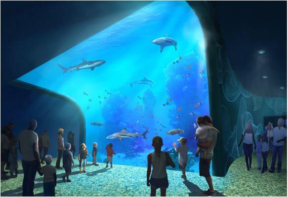 Aquarium Dream