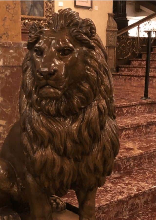 Pfister Lion