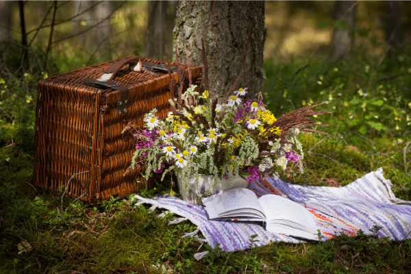 Picnic in the park