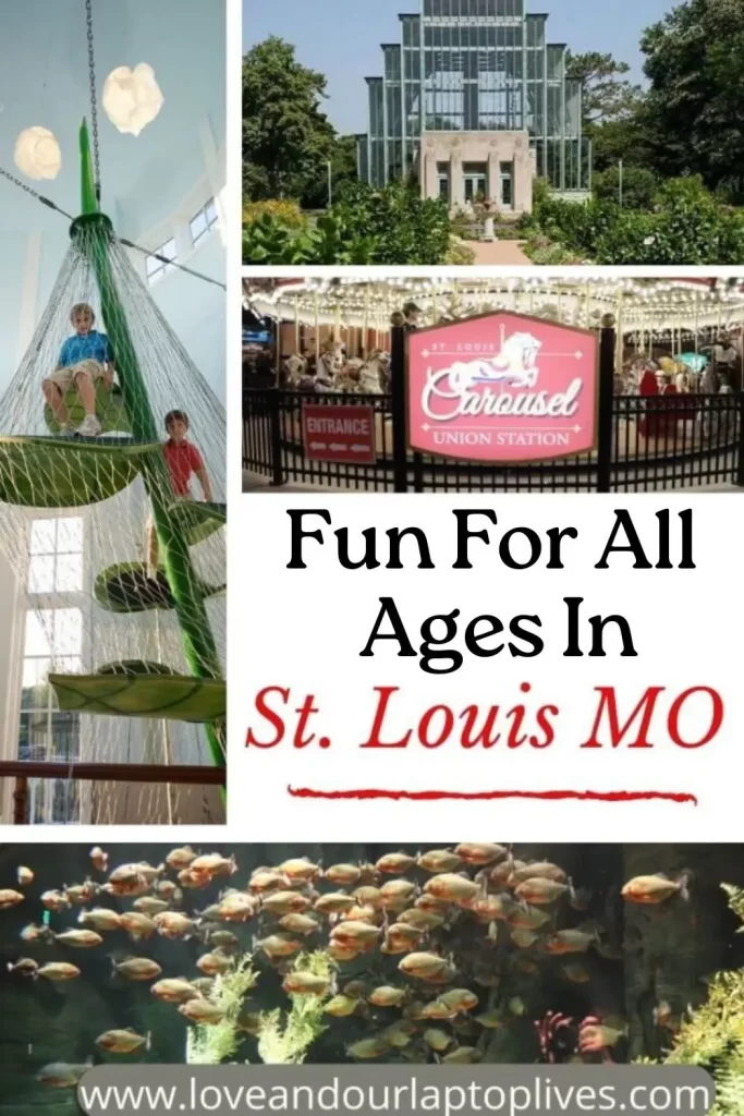 Fun for all ages in St Louis