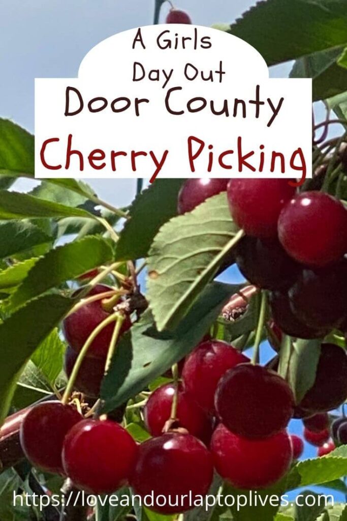 Door County Cherry Picking