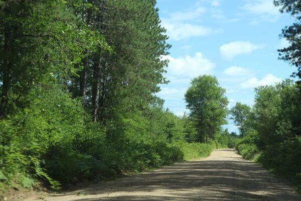 Road in the Chequamegon-Nicolet National Forest