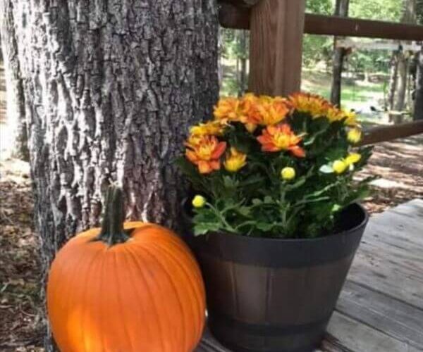 Simple fall Decorating for Warm and Cozy