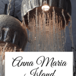 Anna Maria Island Jelly fish lights