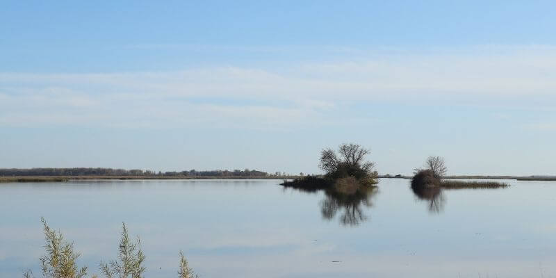 Horicon marsh