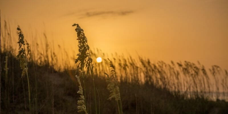 Little Tybee Island Beach