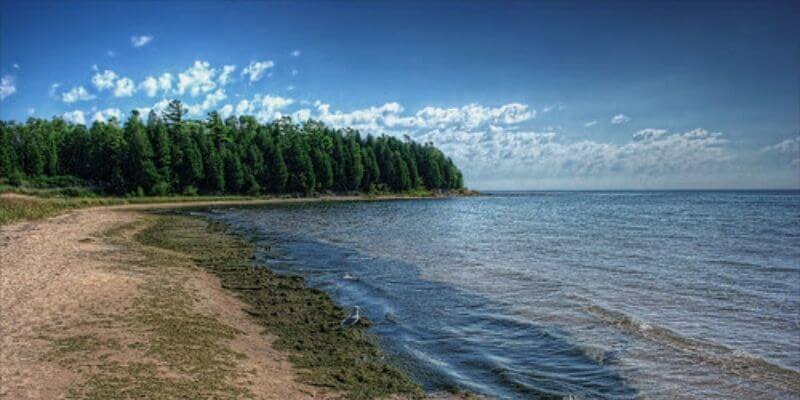 Whitefish Sand Dunes State Park