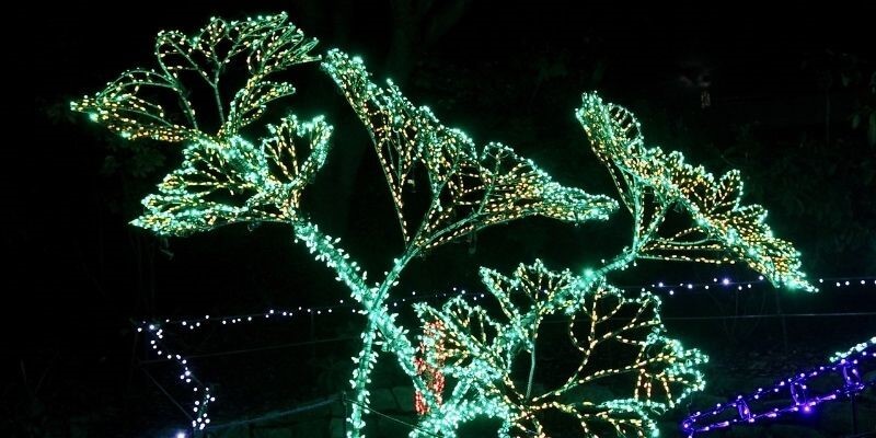 Magical date night idea, seeing the Christmas lights