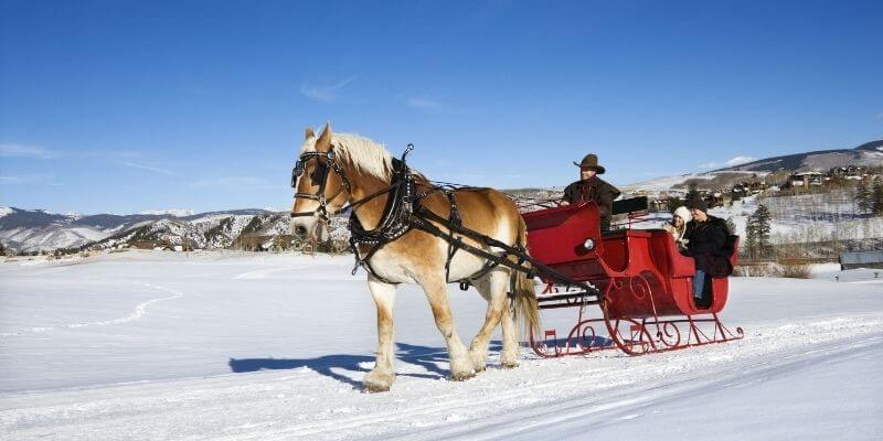 Christmas date idea sleigh ride