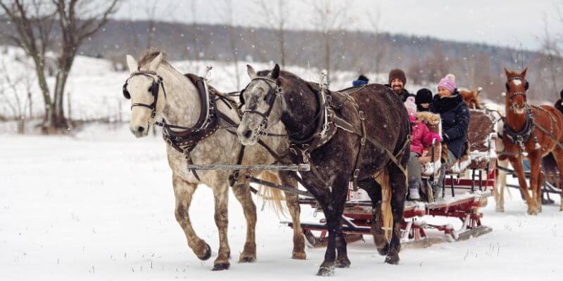 A couples Christmas tradition of taking a sleigh ride