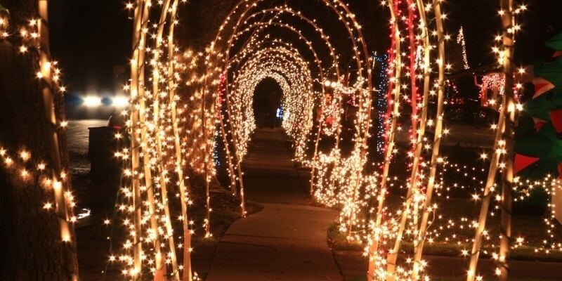 Zoo Christmas Lights