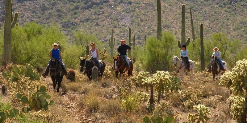 White Stallion Ranch ride