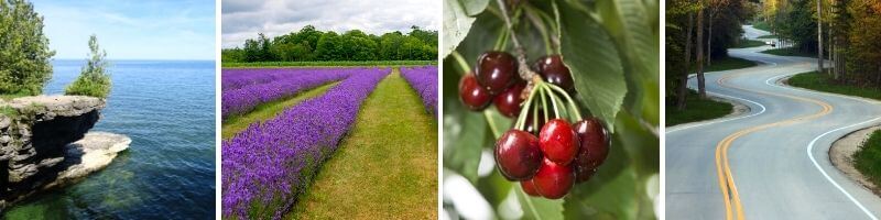 Four things for couples to do in Door County Wisconsin. bleaches, lavender fields, cherries and a drive