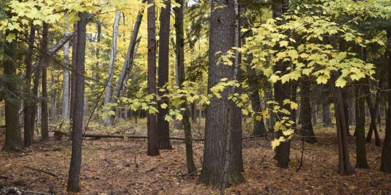 Door County State Park