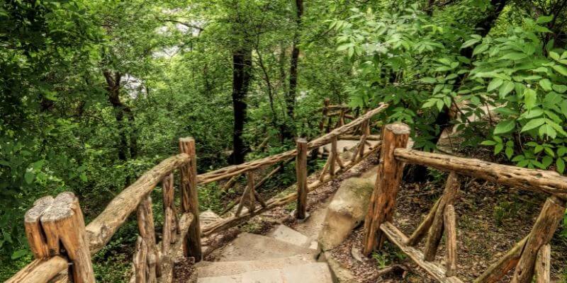 Stairs at Cameron Park