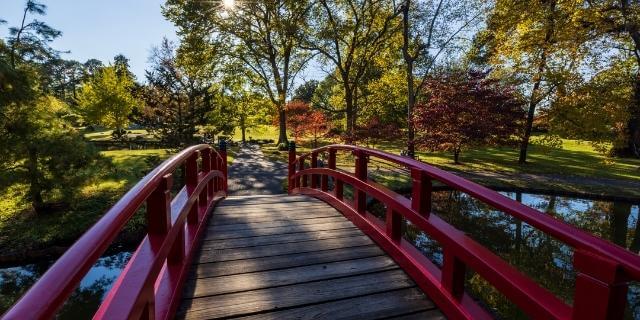 Memphis Botanical Gardens