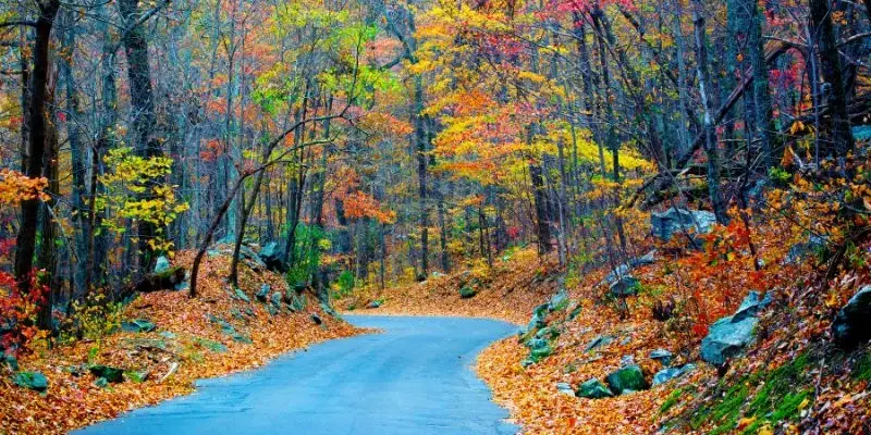 fall road trip