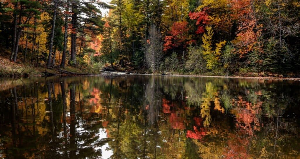 Fall in Wisconsin Lake