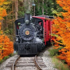 A fall train ride in Wisconsin