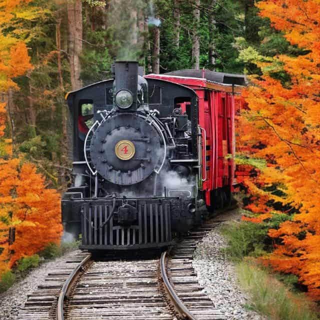Charming Fall Train Rides in Wisconsin 2024